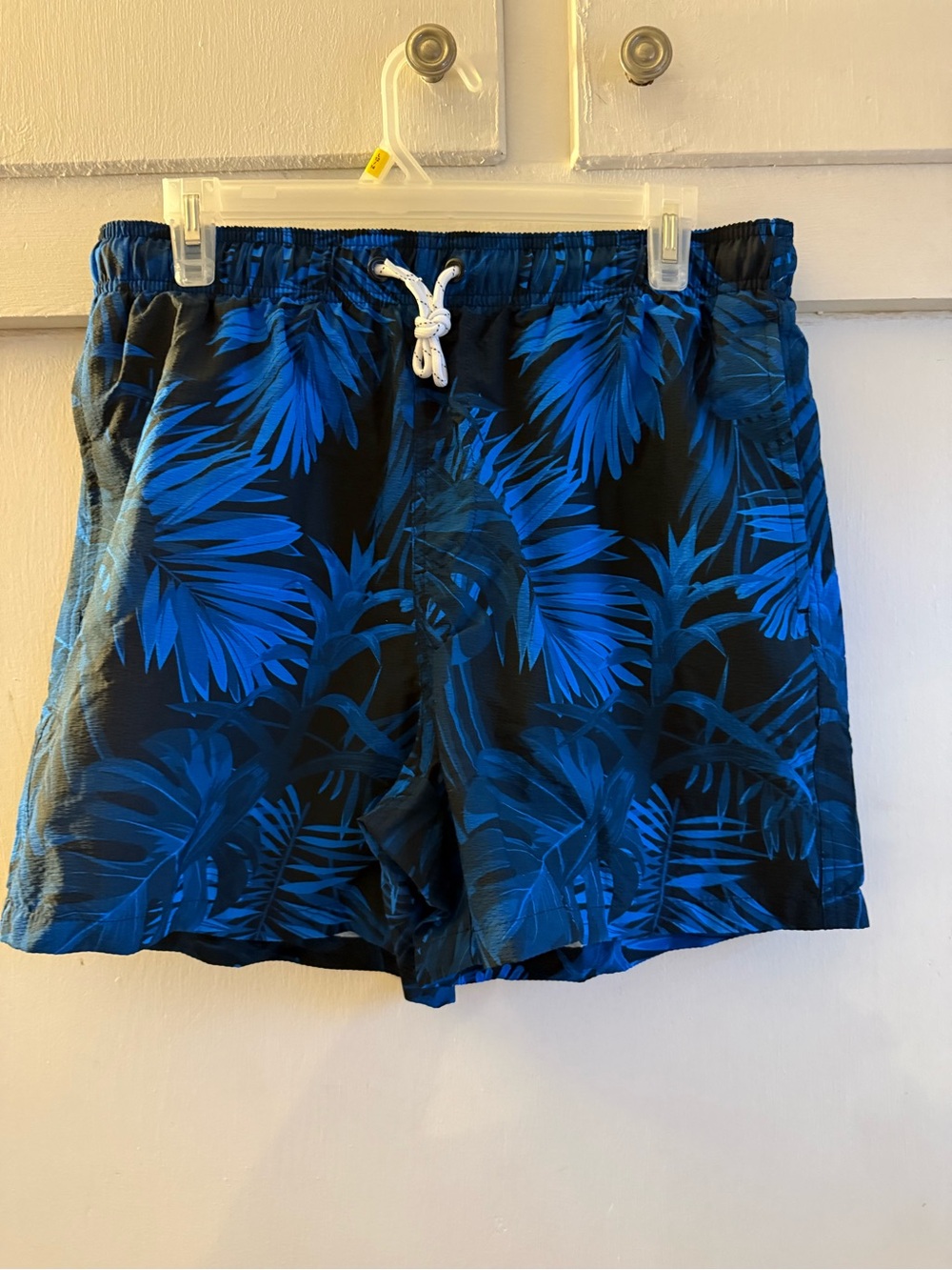 Brisira Men’s Swim Trucks Quick Dry 5”